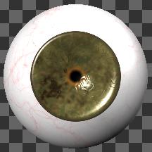 EyeHazelB00S animated: 30 frame dilation
